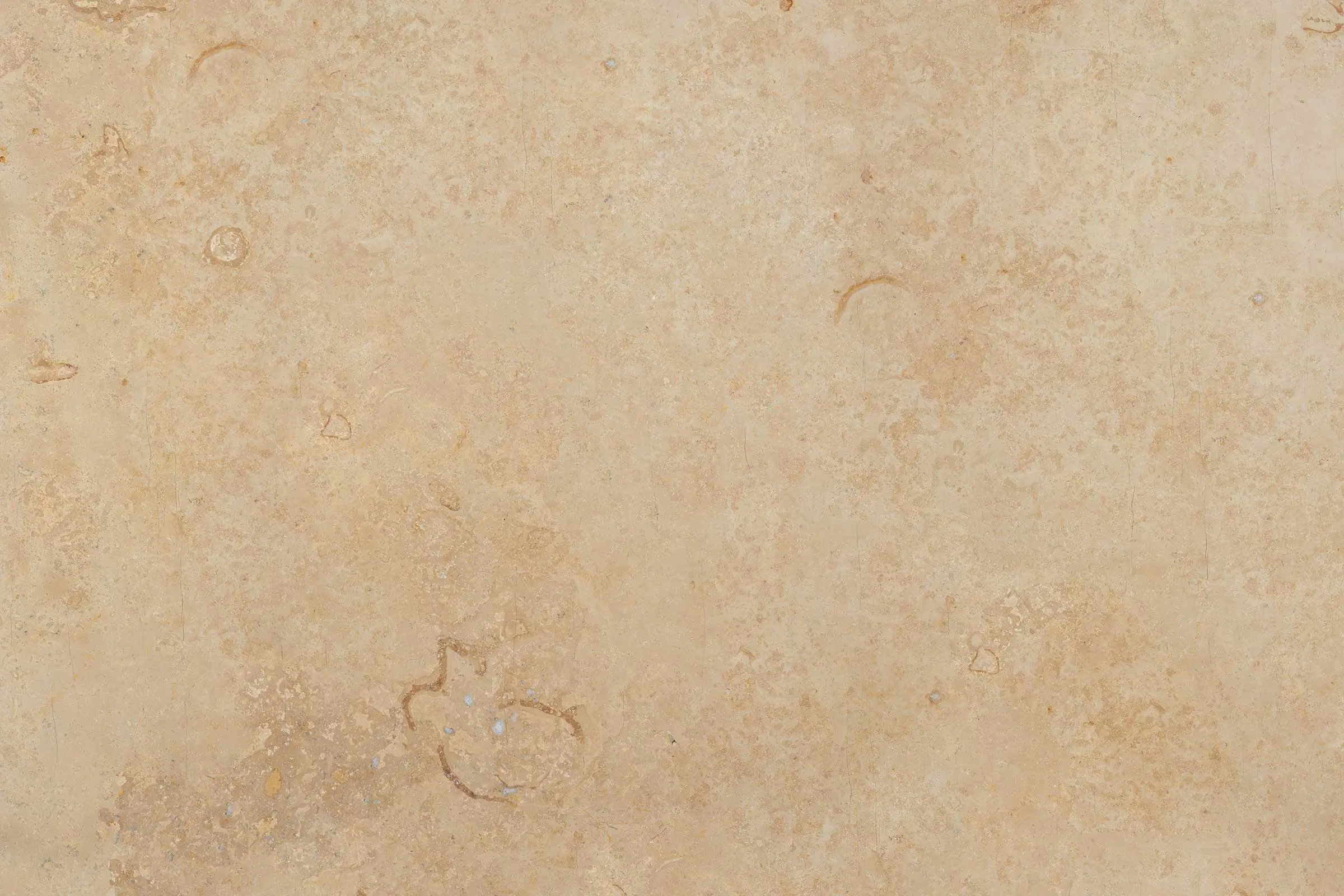 sto_fossil_bavaria_nussbraun_nsf015_c320_fein_geschliffen_41484_2400x1600px