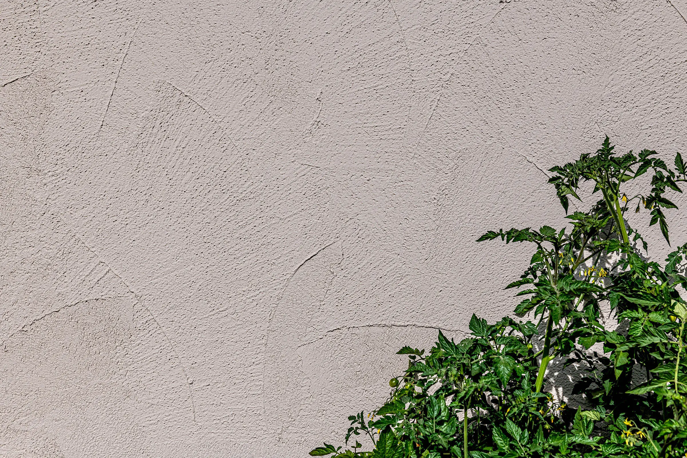 emma_wanderer_campus_alps_hieflau_at_05_2023