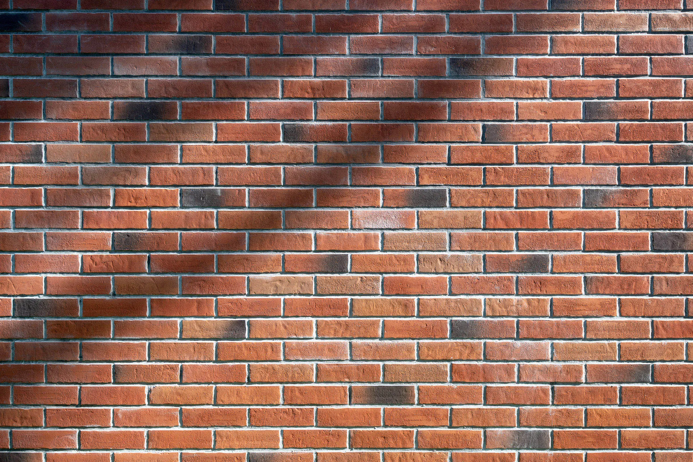 wohnprojekt_kahlenberg__wien_2022_2