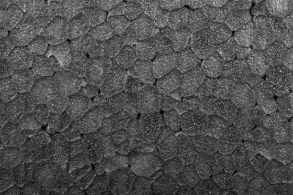 Detalj površine izolacije od polistirenske tvrde pene.