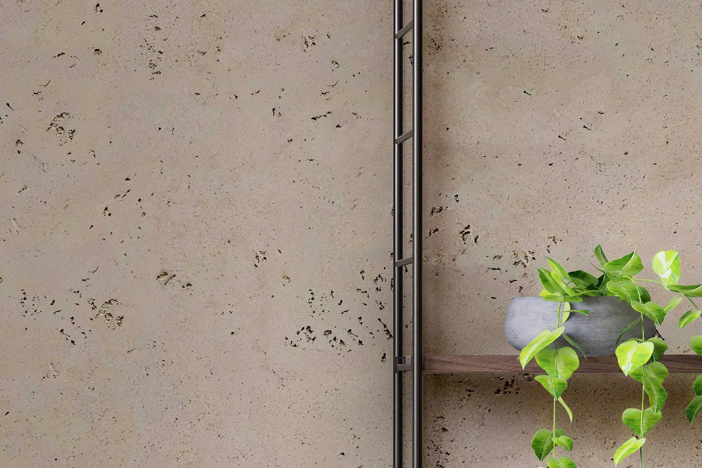 interior_colors_24plus_detail_wohnen1_wandregal_mit_pflanze_walnussfarbene_wand_2400x1600px